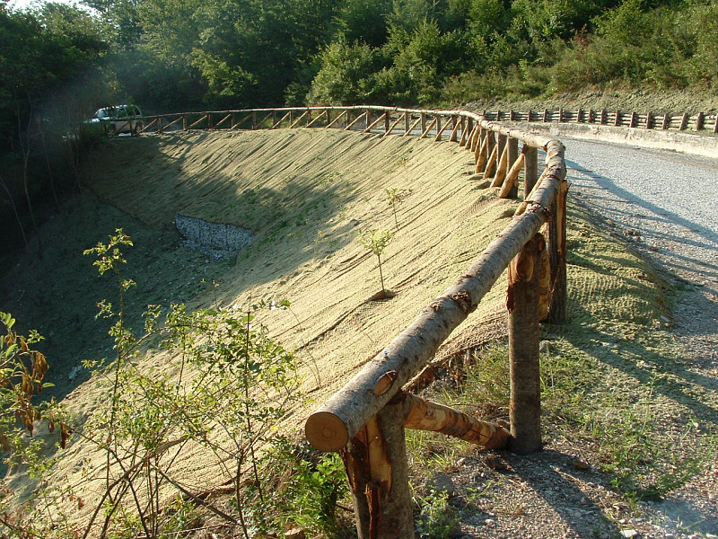 LAVORI DI CONSOLIDAMENTO DEI MOVIMENTI GRAVITATIVI IN LOC. CASALE – COMUNE DI CANTIANO