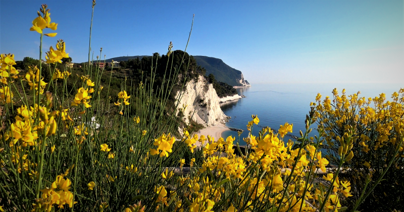 VARIANTE GENERALE AL PIANO DEL PARCO DEL CONERO