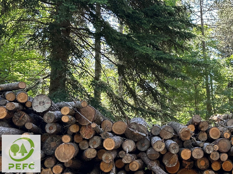 IL PIANO DI ASSESTAMENTO FORESTALE (PAF) DELLE FORESTE DEMANIALI REGIONALI DI FABRIANO / GESTIONE SOSTENIBILE TRAMITE LA FILIERA FORESTALE CERTIFICATA PEFC