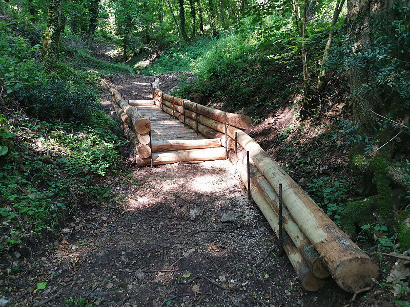 INTERVENTI DI SISTEMAZIONE IDRAULICO-FORESTALE PER LA TUTELA PREVENTIVA E LA MITIGAZIONE DEL RISCHIO IDROGEOLOGICO NEGLI ECOSISTEMI FORESTALI RICADENTI NEL DEMANIO FORESTA ALTO ESINO LOC. VALLEREMITA