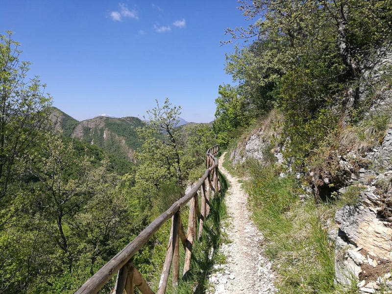 PROGETTO APPENNINO: LA MONTAGNA COME OCCASIONE DI SVILUPPO E OCCUPAZIONE – INTERVENTI DI RIQUALIFICAZIONE E VALORIZZAZIONE AMBIENTALE DEL TERRITORIO AFFERRENTE I COMUNI DI FABRIANO E SASSOFERRATO